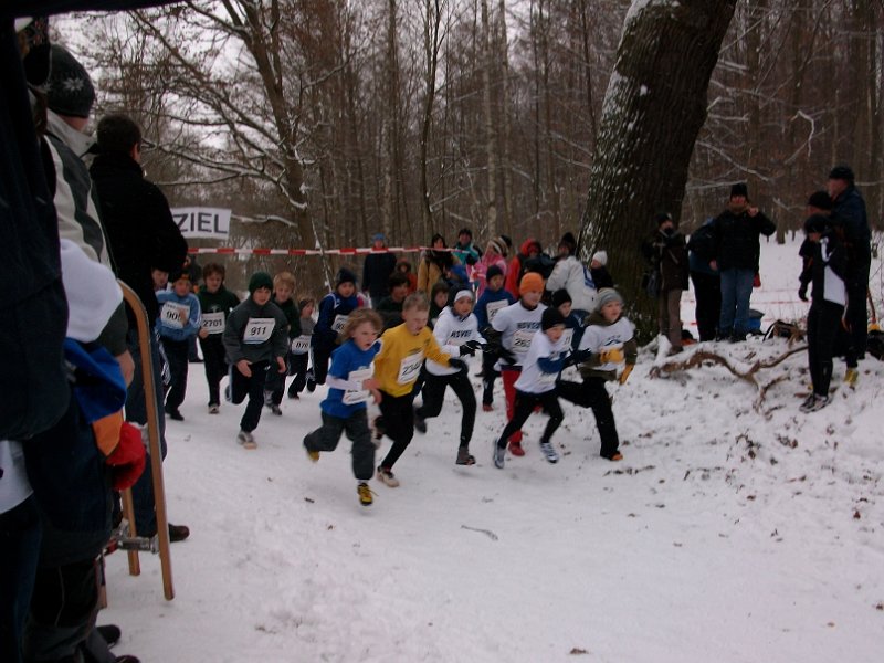Crosslauf Bergedorf 075